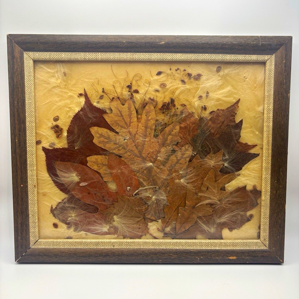 VTG 1971 Framed Pressed Leaf Collage Art Real Dried Autumn Botanical Mixed Media